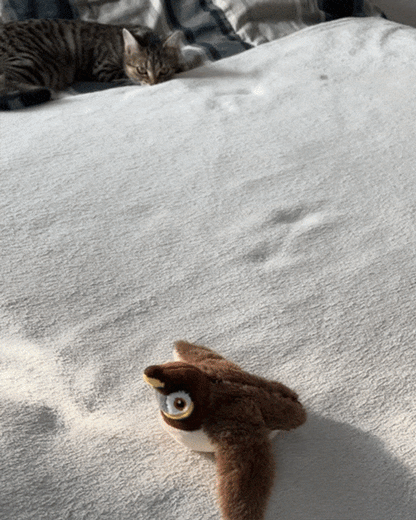 BapFlap™️ – The Ultimate Flappy Bird Cat Toy