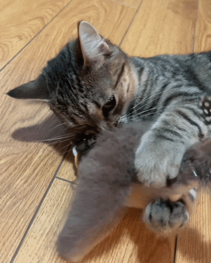 BapFlap™️ – The Ultimate Flappy Bird Cat Toy